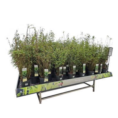 Picture for category test123